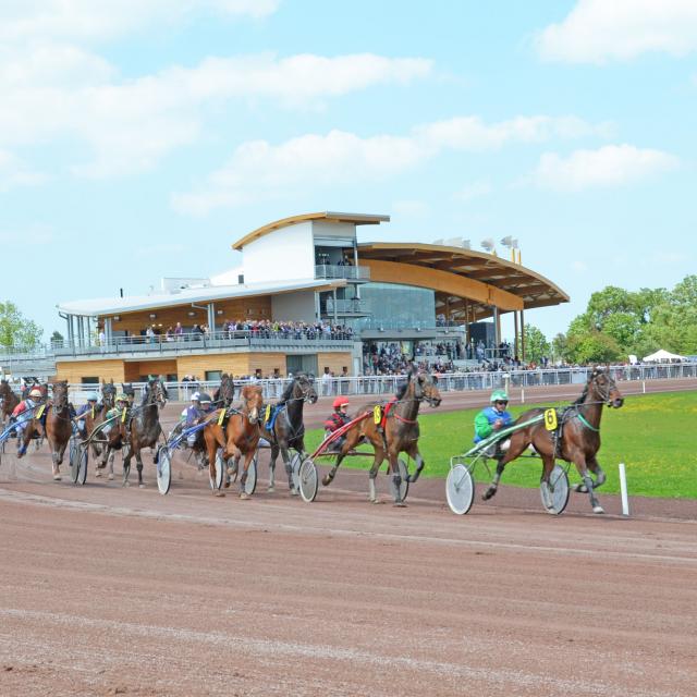 Nijlpaard 4 race