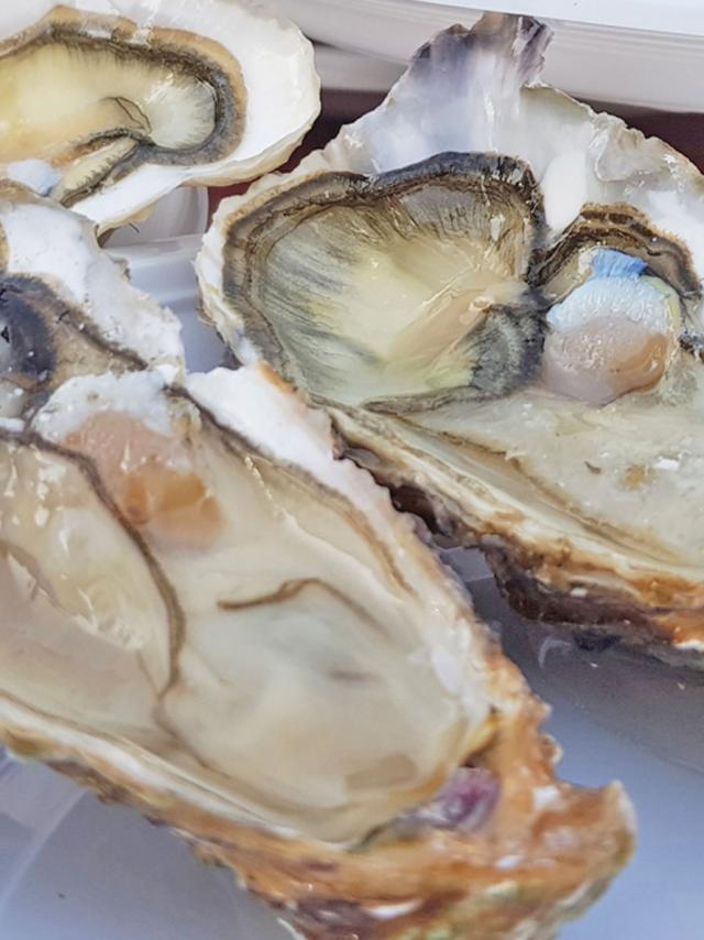 Huitres Chatelaillon