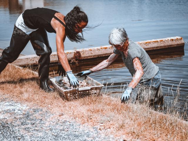 Laurence Huitre1 Laurinda H