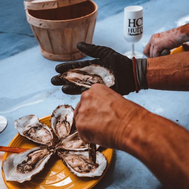 Struisvogelteelt Oester Chatelaillon Boucholerus