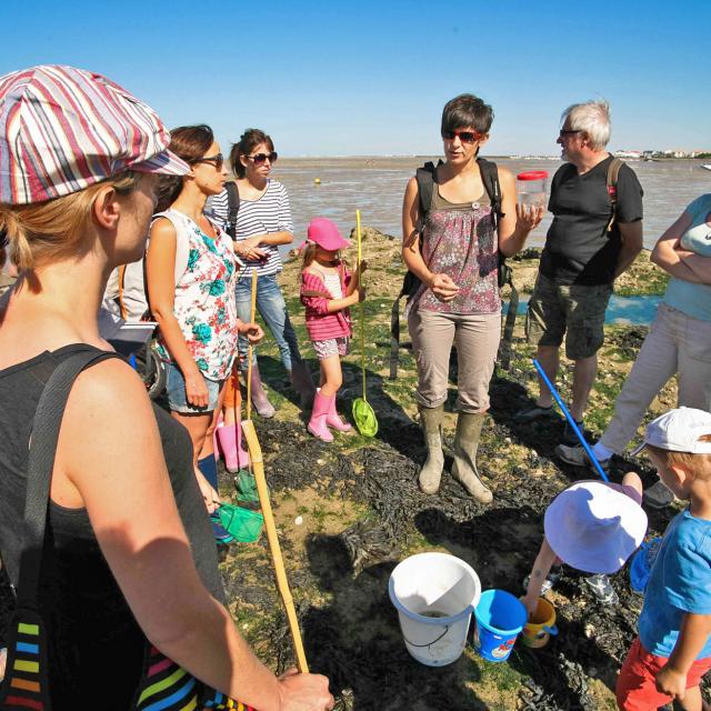 Peche A Pied Chatelaillon