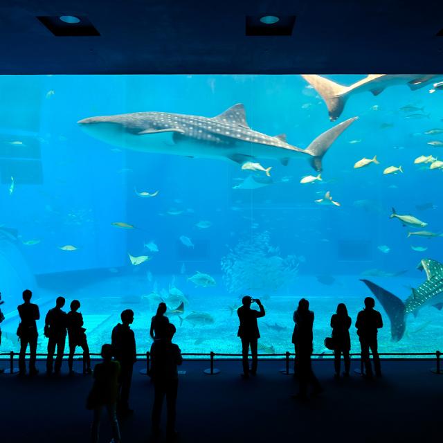 La Rochelle Aquarium