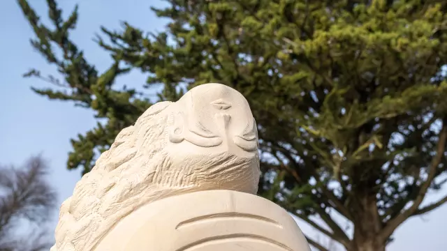 Arttour Yves Jeromine Photographe